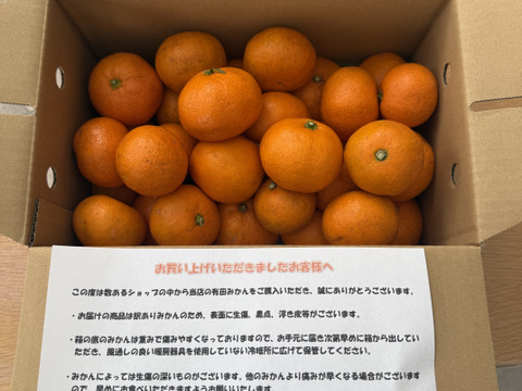 【ご家庭用 ２kg(箱込み)】甘味凝縮 有田みかん