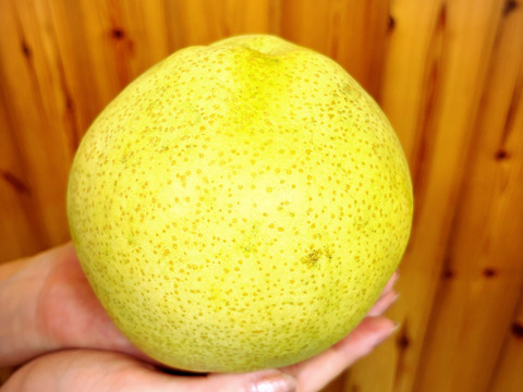 ラスト1ケース‼️【幻の梨⁉️】かおり贈答用約2.2kg(大玉2-4個入)✨️メロンのような甘い香りでとってもフルーティー✨シャキシャキでキメ細か✨️豊水にも負けない果汁量💦