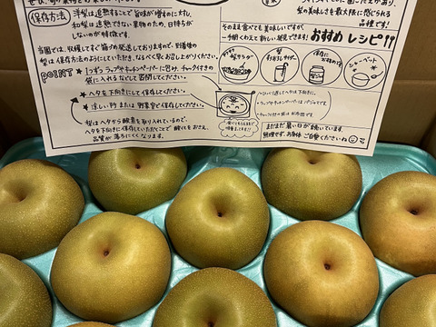 梨 幸水 良品5kg‼️長野県産