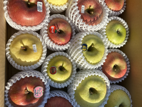 そのまんま「わんぱく箱」約5kg箱　12〜18玉入