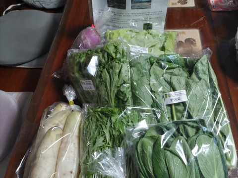 信州冬野菜セット【8品目】