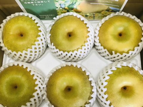 【幸水梨 大玉】甘い‼️まるで梨ジュース✨️贈答用約2.5kg (4~6個入) ひとつひとつ色付きを確認して樹上完熟で収穫します😋鮮度を保つため早朝に収穫しクール便でお届け🚚【夏ギフト】