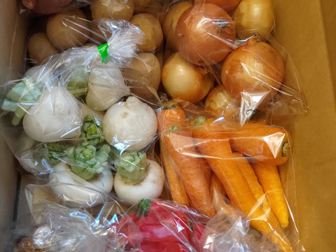 農家直送！規格外・わけあり品セット(A)2,800円分