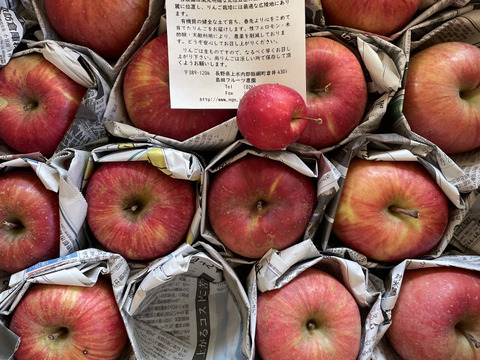 サンふじ　訳あり家庭用（約4.5㎏）10～25玉
甘さ･酸味･食感の三拍子が揃ったりんご　
形やキズなどで贈答用になれなかったりんごたち
バラ詰めでお届け　信州長野県産