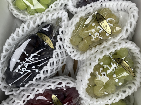 6種夢ぶどうセット　シャインマスカットと愉快な仲間たち　6種合計2.5キロ以上　富士の輝入！