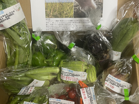 リピーター様歓迎。おまけつき野菜セット。もちろんヤギまっしぐら！