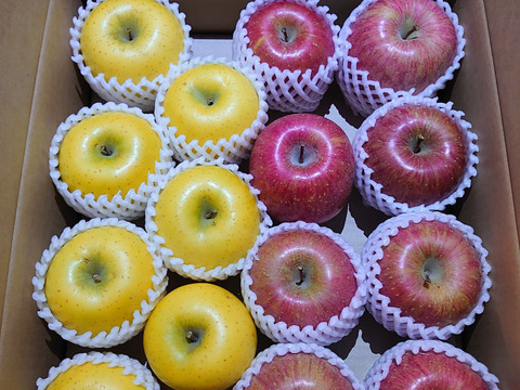 サンふじとシナノゴールドの詰合せ　5kg　青森県産りんご　家庭用