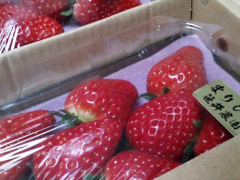 朝採れ、完熟収穫いちご　まりひめ　500g (250g × 2p)