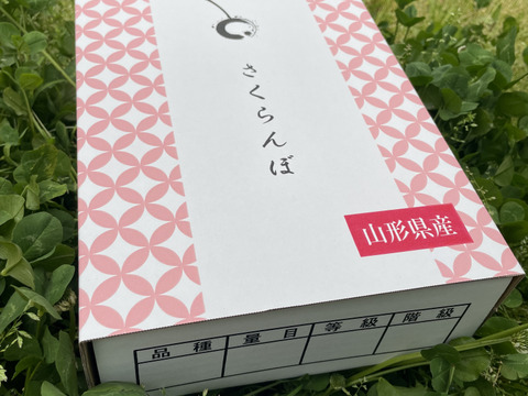 【佐藤錦】さくらんぼ 山形県東根産 700g L.2L 秀・特秀品 バラ詰め
