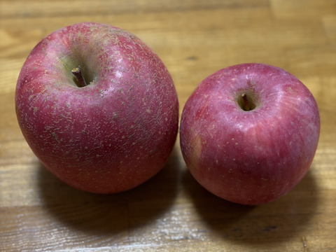 果汁溢れる！ サンふじ【わけあり家庭用 5kg 】