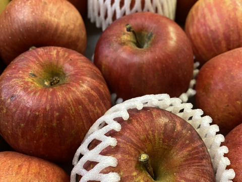 信州りんご🍎小玉４キロパック詰め