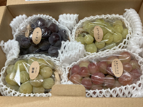 【ご家庭用4～6房】ぶどう食べ比べセット（品種おまかせ／約1.8kg）
