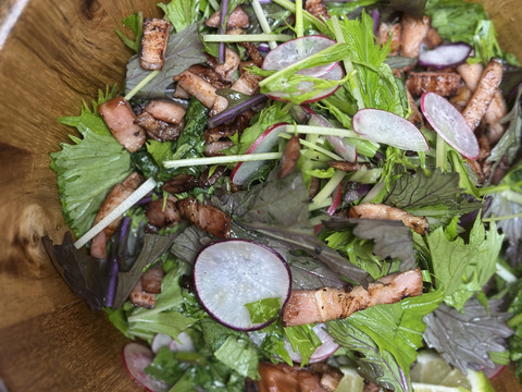 【箱いっぱいにお届け！】農薬不使用キラピカ旬野菜BOX11〜12品、朝穫れ農の島＊大三島＊よりお届け！