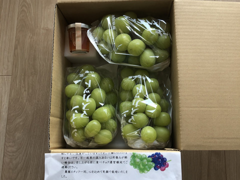 大好評♡朝採りシャインマスカット1.2kg箱（小粒・粒不揃いなど
