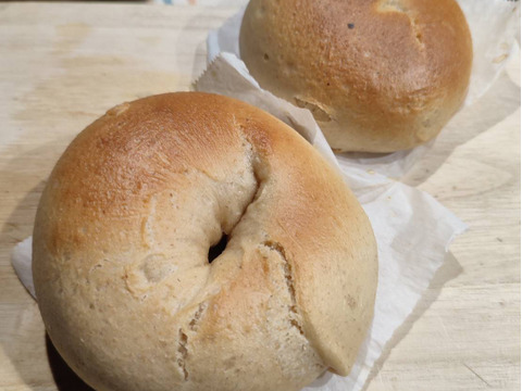 自然栽培 古代小麦『スペルト小麦』精白粉 （800g）