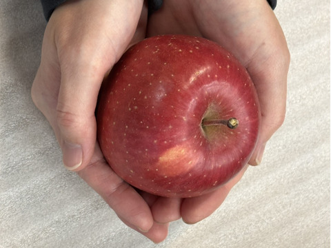 手のひらサイズ　サンフジ小玉 　4.8㎏　（20～23玉）