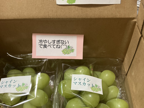 毎年大人気のご家庭用・山梨県産シャインマスカット1㎏
