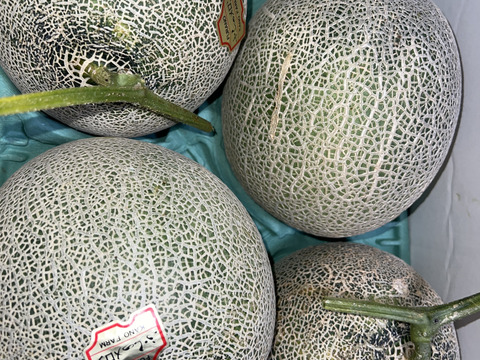 訳あり品　富良野産 赤肉メロン 大箱（4～7玉）家庭用！