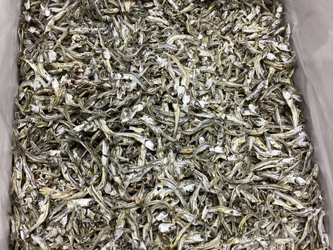 リクエストでセット　17日までの価格です　ふぞろい大き目かえり300g6袋　ひじき20gの6袋【このセットを作ってのリクエストの方向けですのでリクエストした方以外が注文すると満足度が低い恐れがあります