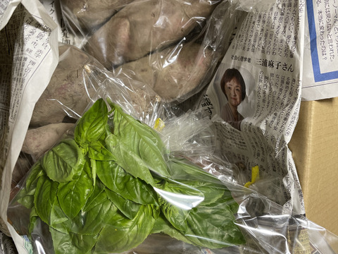 『シルクスイート』３kg 【農薬・化学肥料不使用】