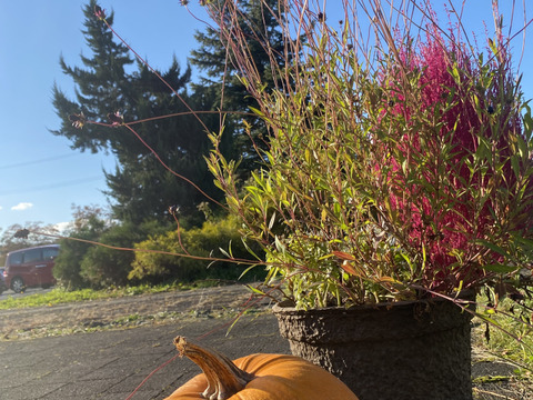 《北海道産》味自慢！秋の野菜セット