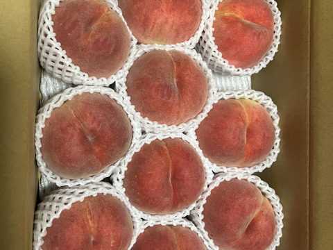 白根白桃（9月中旬お届け）【わけあり家庭用 3kg】ジュワッと果汁溢れる！白桃