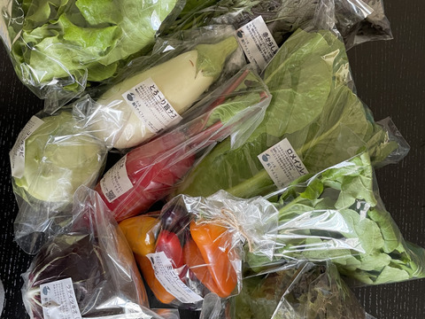 【栽培期間中：農薬不使用】季節の彩り野菜セット　Lサイズ