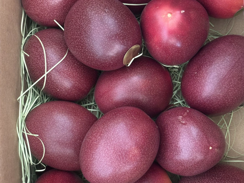 《皇室献上品産地のパッションフルーツご家庭用》奄美大島瀬戸内町産 1.2kg／希少な南国フルーツ