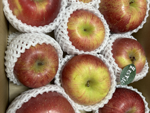 【冬ギフト】 🍎レビュー数1800件突破！！《家庭用》青森完熟葉とらずふじ８〜１２玉(約３kg)🍎ID119812