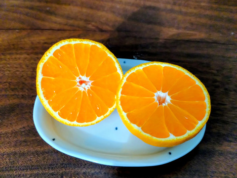 ハウス栽培！「不知火」
～家庭用個包装3㌔～　　　合計12個前後