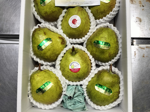 【冬ギフト】　【順次発送】中玉サイズ　特秀品　とろける甘さ　ラフランス　２キロ(7〜8玉)　お歳暮、贈り物にも　熨斗可