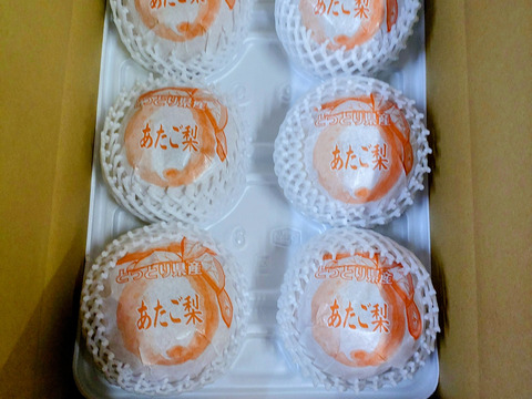 【鳥取産】  愛宕梨！