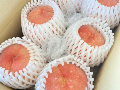 わがままボディ♡もも♡山形県産あかつき♡