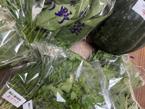 モリモリ新鮮野菜セット（５種類以上）
