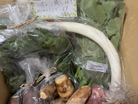 自然栽培野菜一人暮らしの方にオススメセット【7〜9 種類】