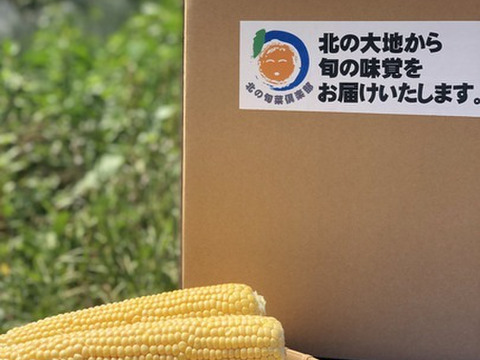 【予約必須】北海道産 たった2回のみの収穫！！メロンより甘い⁉糖度17度のトウモロコシ！10本入り！3・4人家族用