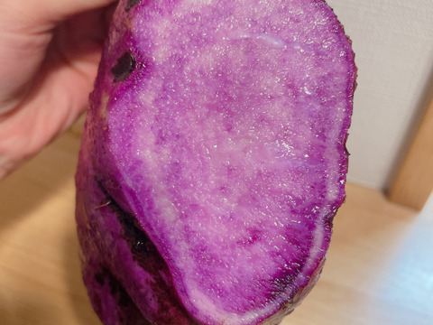 希少品！紫山芋 約2キロ