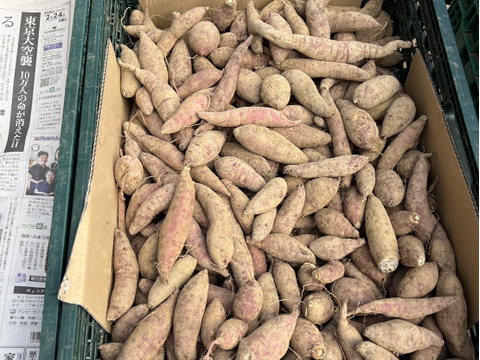 島育ち！東京都産『ちびっこさつまいも』2kg