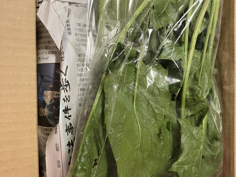 標高800mで育った高原野菜S(9-10品目)野菜セットS