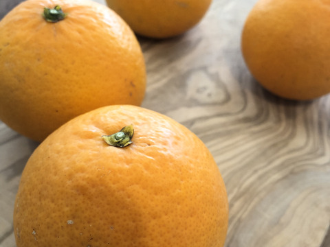 果汁溢れる糖度12度以上🍊清見オレンジ3kg