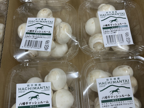 料理王国100選2024"優秀賞"に選出★【八幡平マッシュルーム ホワイト】 3パック
