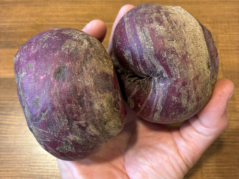 【たっぷり2.5kg】濃厚な甘みのデトロイト種 生ビーツ約10個（葉根カット済）ボルシチやサラダ、スムージーに！［クール便］