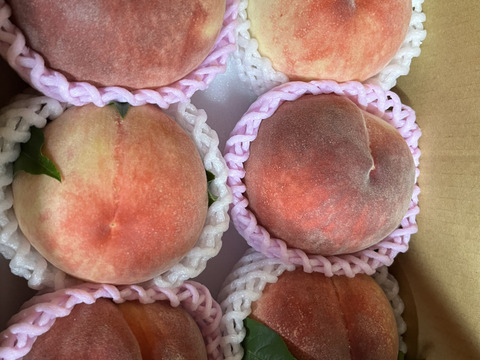 【ご自宅用】早生白鳳2kg