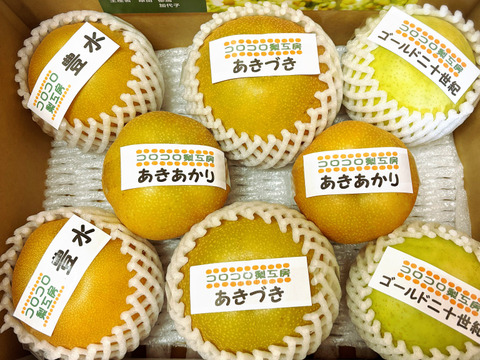 【旬の梨食べ比べ‼️3～5品種】何が届くかお楽しみ😋贈答用2.5kg以上、豊水・あきづき・かおり・あきあかり・二十世紀・南水・にっこり・新高・王秋・新興・愛宕の中から3品種以上詰め合わせます‼️