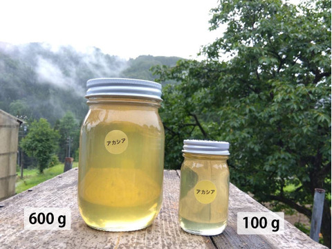 アカシアのはちみつ　100g×4本