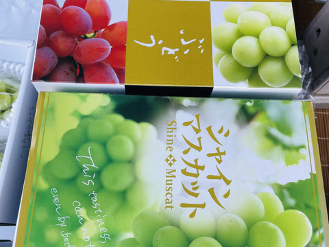 【家庭用】甘さに自信あり！ シャインマスカット