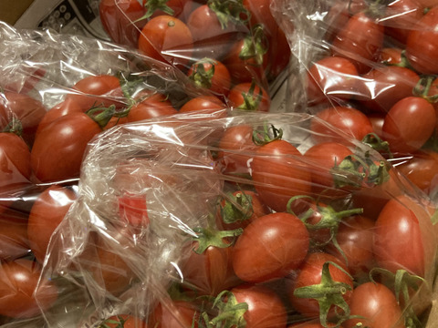 毎食トマト！バクバク食べちゃう栄ちゃんトマト　食べやすい小さめサイズ
。