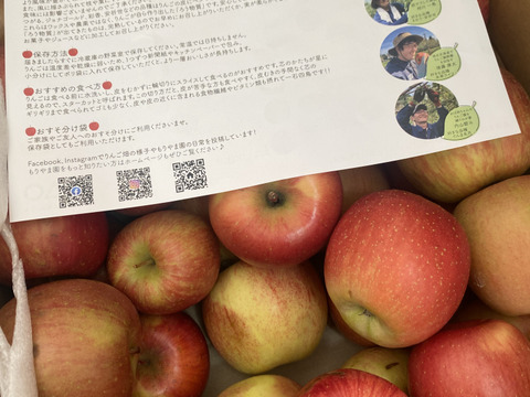 スムージーやお菓子作りにたっぷり10kg🍎加工用りんご 農薬50%減・化学肥料不使用✨青森県特別栽培認証