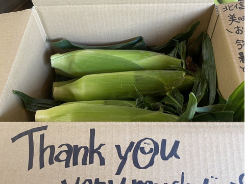 甘みもたっぷりジューシー！生でも食べられるとうもろこし！【ゴールドラッシュ】（100サイズ、16本/10kg以内）