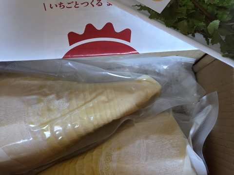 タケノコ水煮　１ｋｇ　　
朝堀のタケノコを新鮮なうちにあく抜きし真空パックしてます
クール便対応で新鮮なままお届けいたします。
「送料変わらず」まとめ買いがお得です。